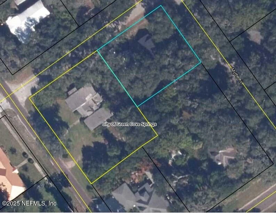 726 St Johns Avenue, Green Cove Springs, Fl 32043