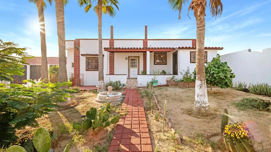 Jacarandas, Casa Belsa, Cabo San Lucas