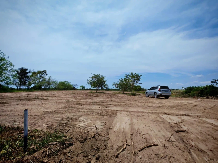 San Carlos Llano Redondo, El Higo De San Carlos #el Higo