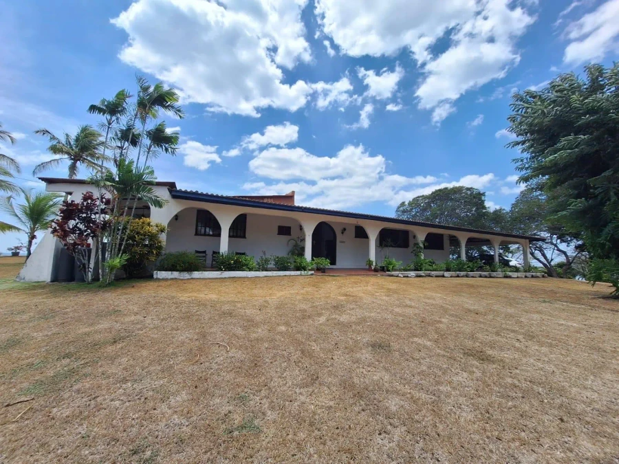 Chumico Redondo #las Guias